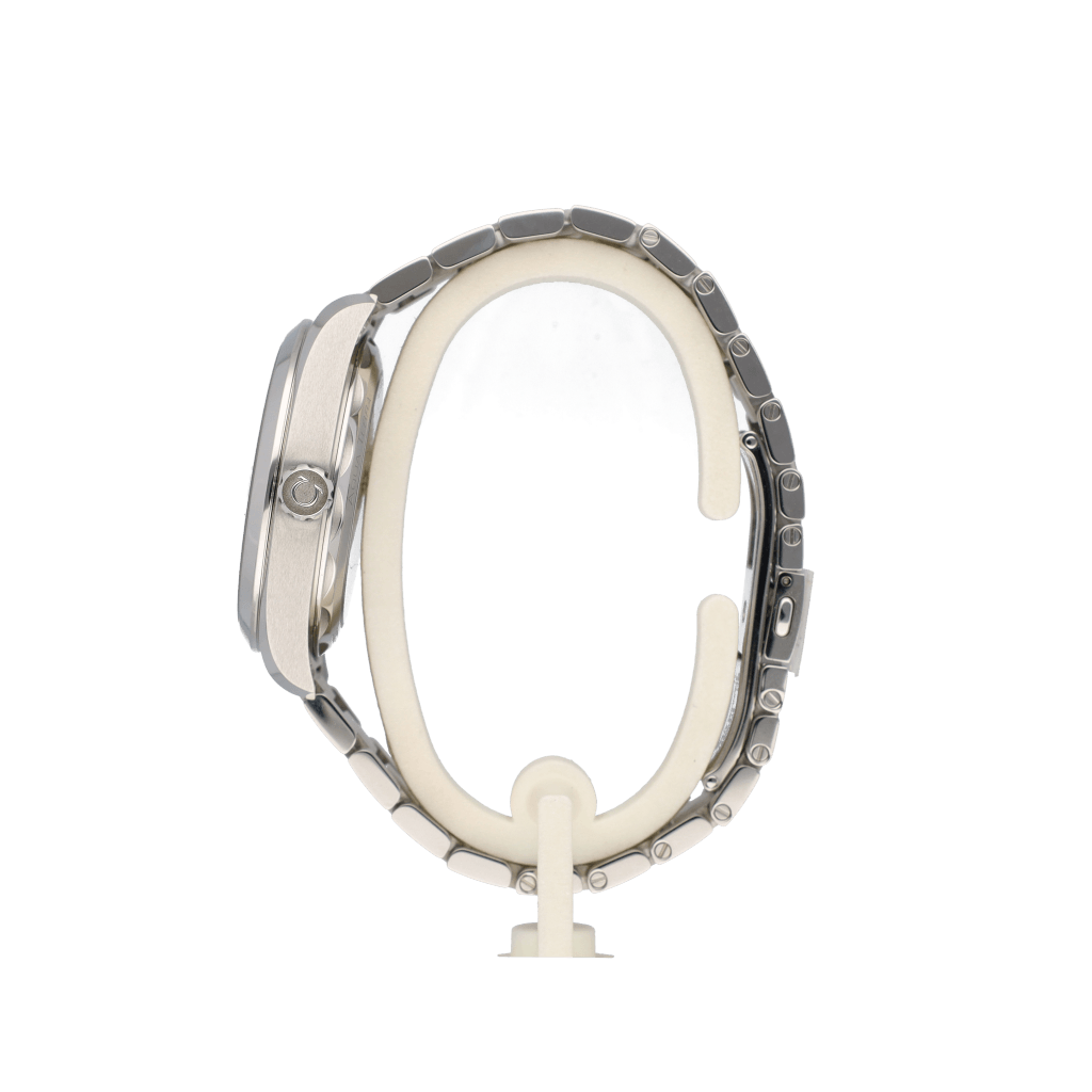OMEGA Seamaster Aqua Terra 150M 41mm - 220.10.41.21.02.004OCC - #4