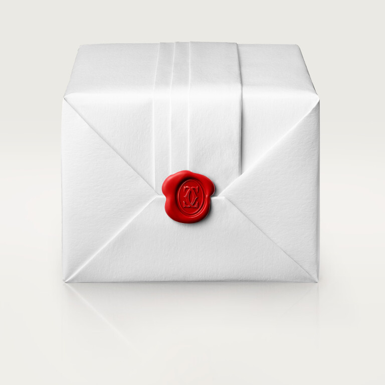 Cartier Santos de Cartier Chronograph XL - W2SA0008 - #12 Cartier Santos de Cartier Chronograph XL - W2SA0008 - #12